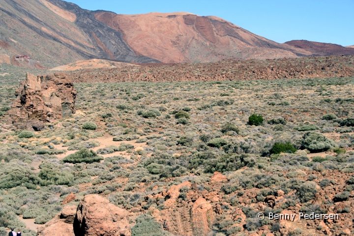 Las Canadas 1.jpg - Nationalpark Teide Las Canadas